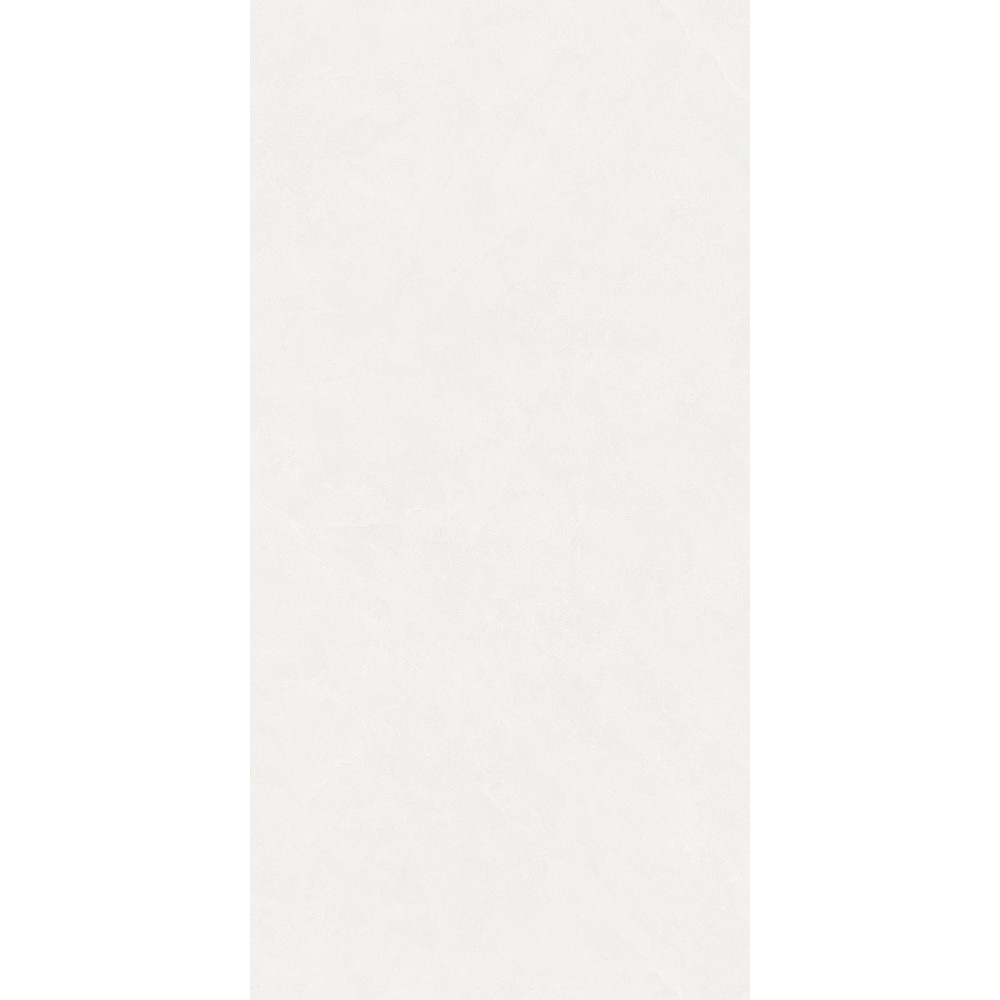 26029